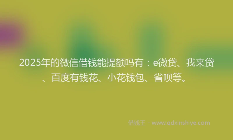 2025年的微信借钱能提额吗有：e微贷、我来贷、百度有钱花、小花钱包、省呗等。