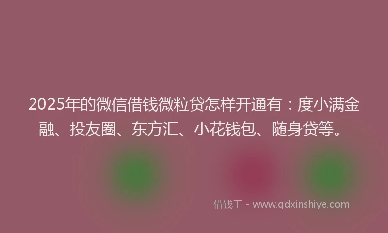 2025年的微信借钱微粒贷怎样开通有：度小满金融、投友圈、东方汇、小花钱包、随身贷等。