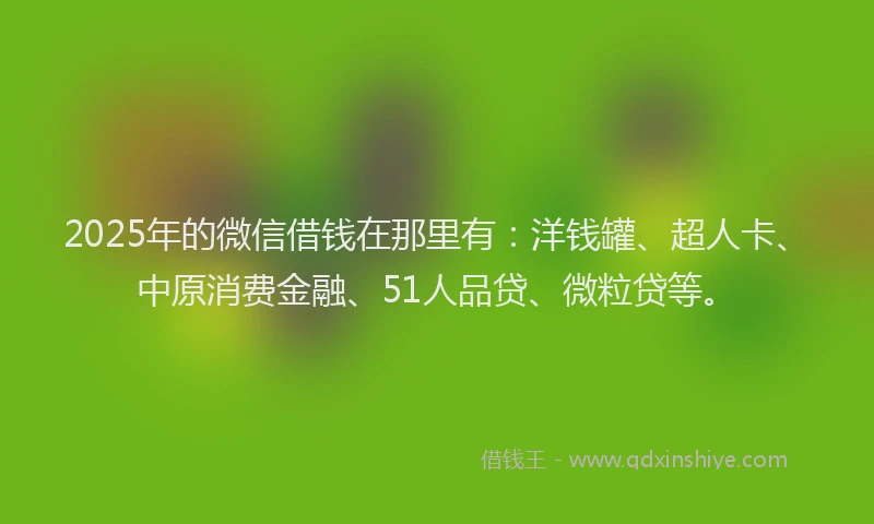 2025年的微信借钱在那里有：洋钱罐、超人卡、中原消费金融、51人品贷、微粒贷等。