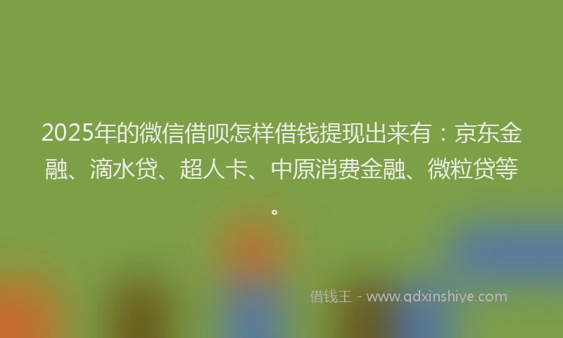 2025年的微信借呗怎样借钱提现出来有：京东金融、滴水贷、超人卡、中原消费金融、微粒贷等。
