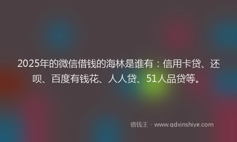 2025年的微信借钱的海林是谁有：信用卡贷、还呗、百度有钱花、人人贷、51人品贷等。