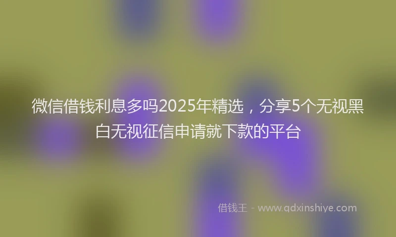 微信借钱利息多吗2025年精选，分享5个无视黑白无视征信申请就下款的平台