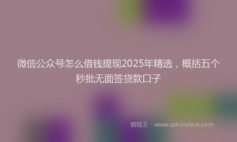 微信公众号怎么借钱提现2025年精选，概括五个秒批无面签贷款口子