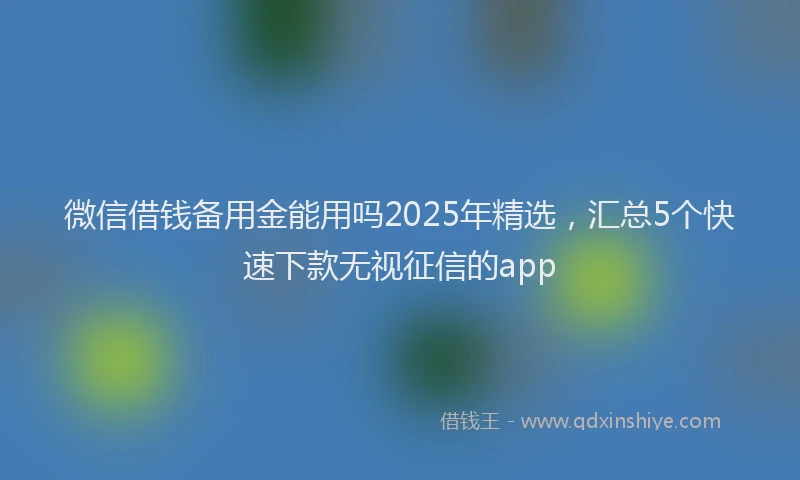微信借钱备用金能用吗2025年精选，汇总5个快速下款无视征信的app