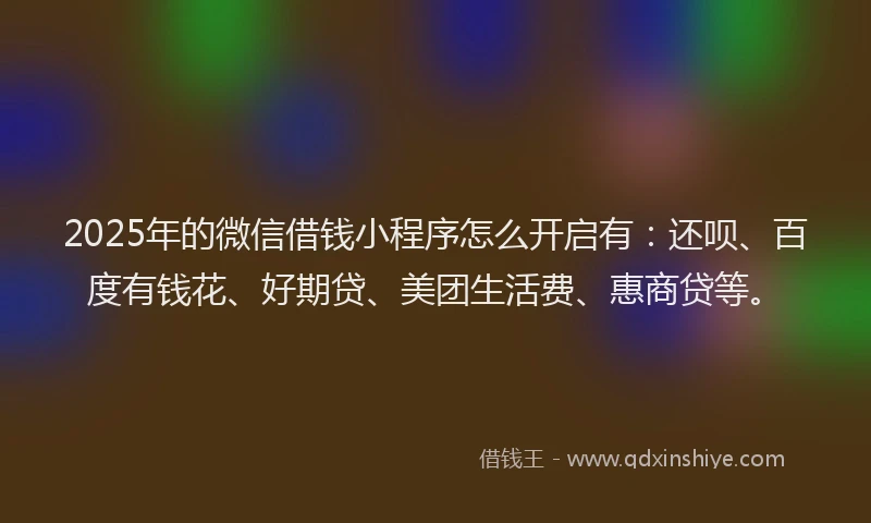 2025年的微信借钱小程序怎么开启有：还呗、百度有钱花、好期贷、美团生活费、惠商贷等。