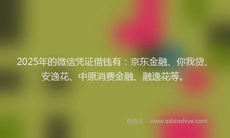 2025年的微信凭证借钱有：京东金融、你我贷、安逸花、中原消费金融、融逸花等。