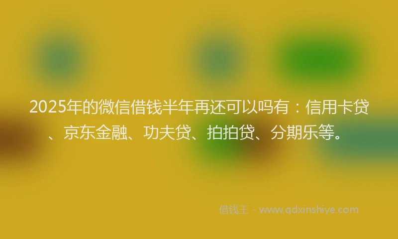 2025年的微信借钱半年再还可以吗有：信用卡贷、京东金融、功夫贷、拍拍贷、分期乐等。