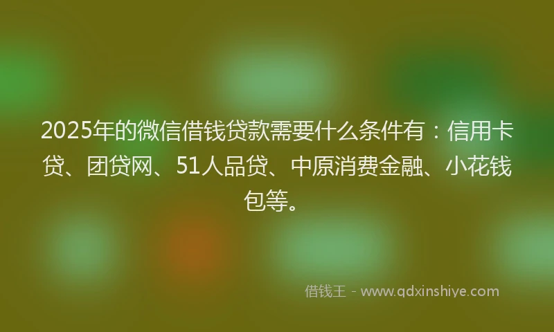 2025年的微信借钱贷款需要什么条件有：信用卡贷、团贷网、51人品贷、中原消费金融、小花钱包等。