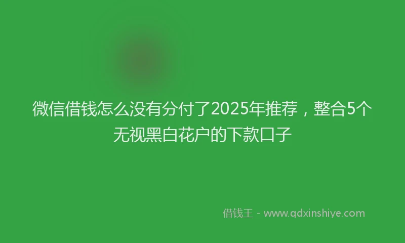 微信借钱怎么没有分付了2025年推荐，整合5个无视黑白花户的下款口子