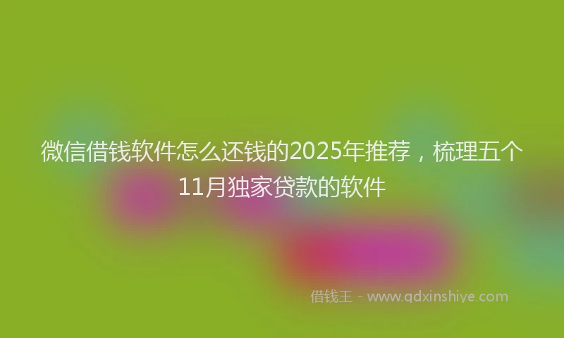 微信借钱软件怎么还钱的2025年推荐，梳理五个11月独家贷款的软件