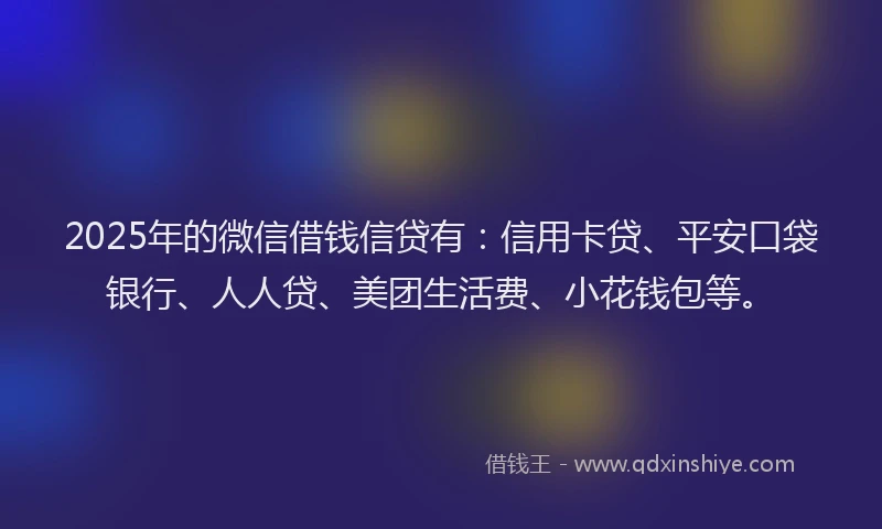 2025年的微信借钱信贷有：信用卡贷、平安口袋银行、人人贷、美团生活费、小花钱包等。
