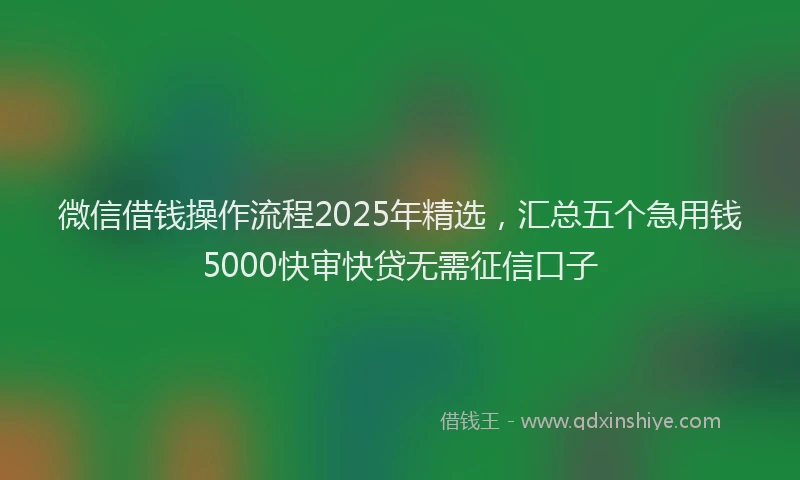 微信借钱操作流程2025年精选，汇总五个急用钱5000快审快贷无需征信口子