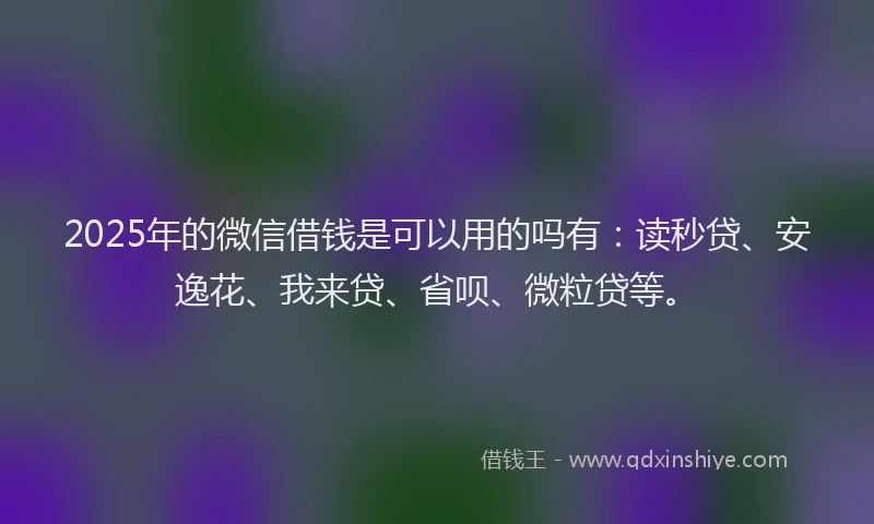 2025年的微信借钱是可以用的吗有：读秒贷、安逸花、我来贷、省呗、微粒贷等。