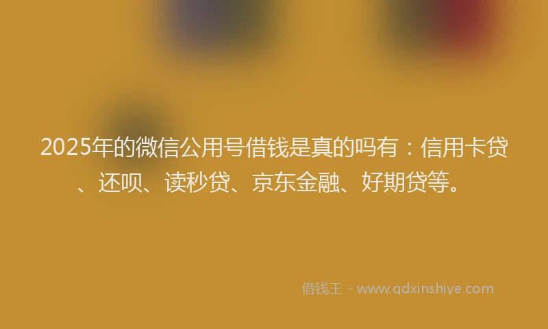 2025年的微信公用号借钱是真的吗有：信用卡贷、还呗、读秒贷、京东金融、好期贷等。