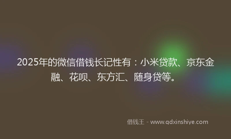 2025年的微信借钱长记性有：小米贷款、京东金融、花呗、东方汇、随身贷等。