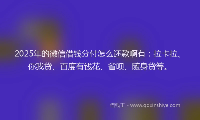 2025年的微信借钱分付怎么还款啊有：拉卡拉、你我贷、百度有钱花、省呗、随身贷等。