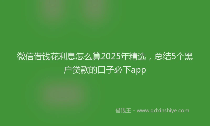 微信借钱花利息怎么算2025年精选，总结5个黑户贷款的口子必下app