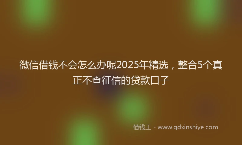 微信借钱不会怎么办呢2025年精选，整合5个真正不查征信的贷款口子