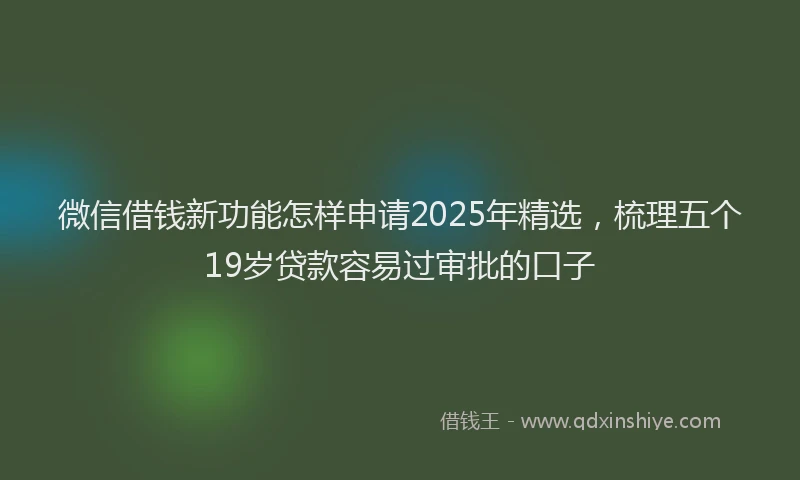 微信借钱新功能怎样申请2025年精选，梳理五个19岁贷款容易过审批的口子