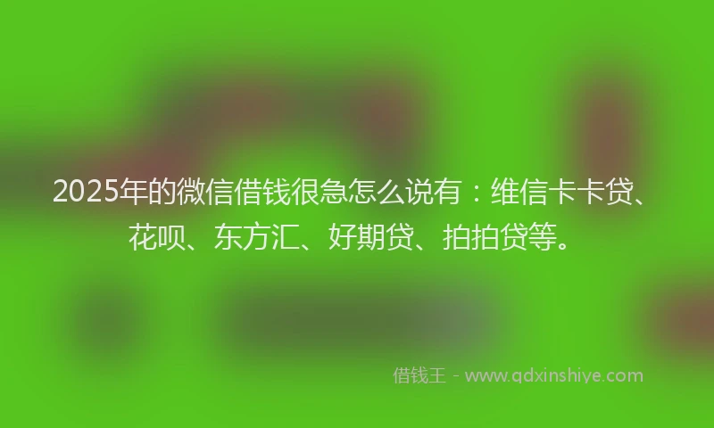 2025年的微信借钱很急怎么说有：维信卡卡贷、花呗、东方汇、好期贷、拍拍贷等。