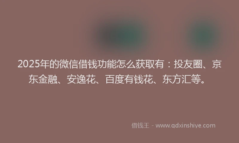 2025年的微信借钱功能怎么获取有：投友圈、京东金融、安逸花、百度有钱花、东方汇等。