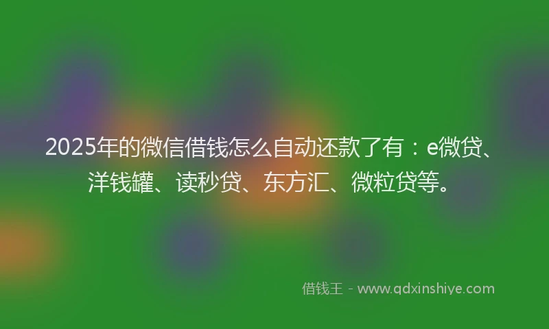2025年的微信借钱怎么自动还款了有：e微贷、洋钱罐、读秒贷、东方汇、微粒贷等。