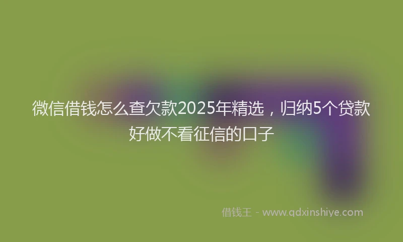 微信借钱怎么查欠款2025年精选，归纳5个贷款好做不看征信的口子