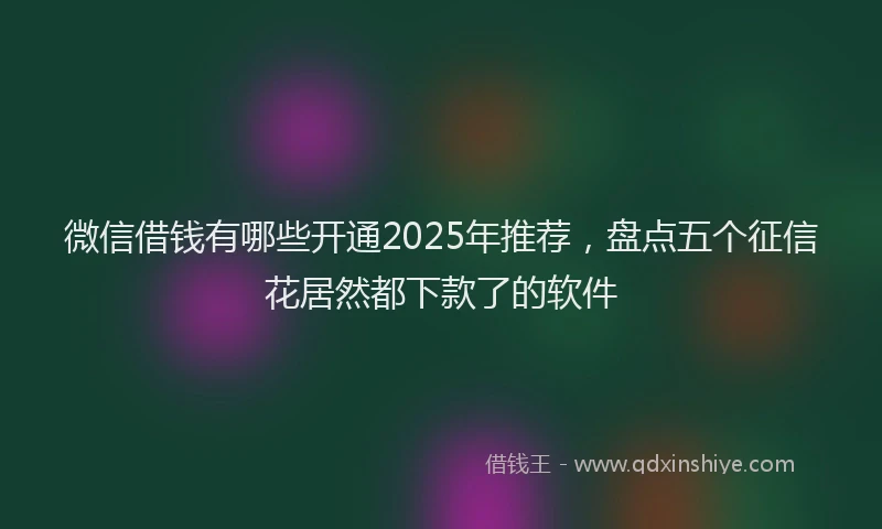 微信借钱有哪些开通2025年推荐，盘点五个征信花居然都下款了的软件