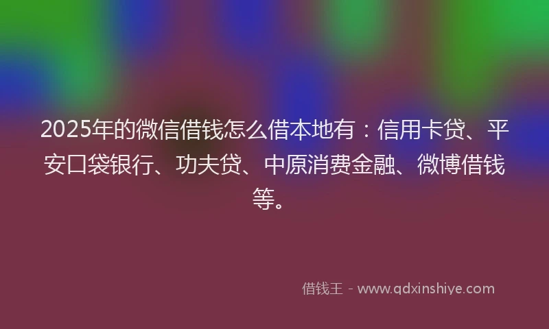 2025年的微信借钱怎么借本地有：信用卡贷、平安口袋银行、功夫贷、中原消费金融、微博借钱等。