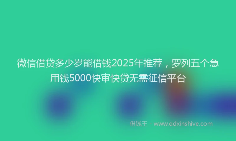 微信借贷多少岁能借钱2025年推荐，罗列五个急用钱5000快审快贷无需征信平台