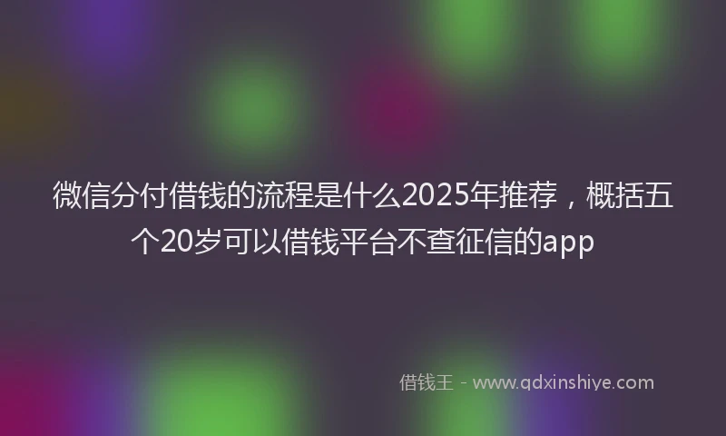 微信分付借钱的流程是什么2025年推荐,概括五个20岁可以借钱平台不查征信的app