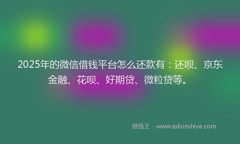 2025年的微信借钱平台怎么还款有：还呗、京东金融、花呗、好期贷、微粒贷等。
