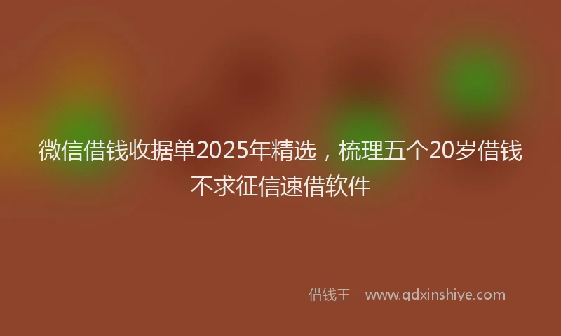微信借钱收据单2025年精选，梳理五个20岁借钱不求征信速借软件