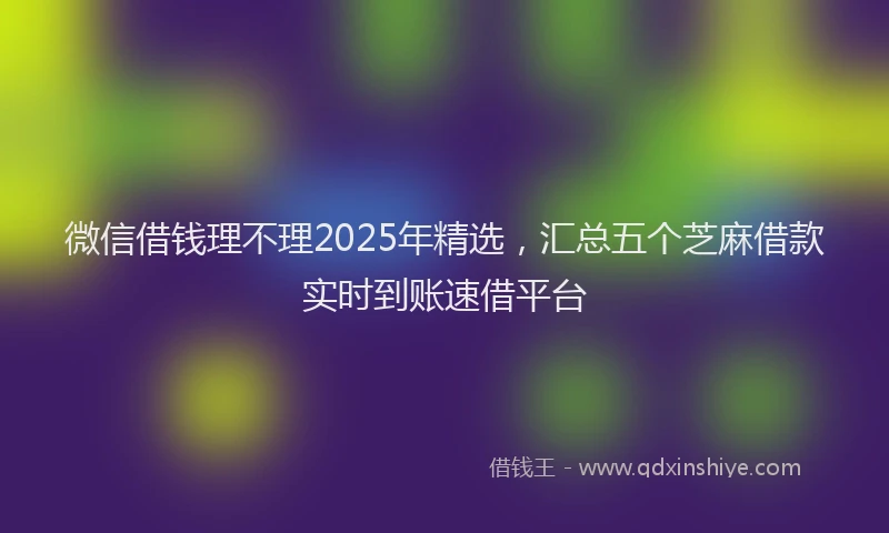 微信借钱理不理2025年精选，汇总五个芝麻借款实时到账速借平台