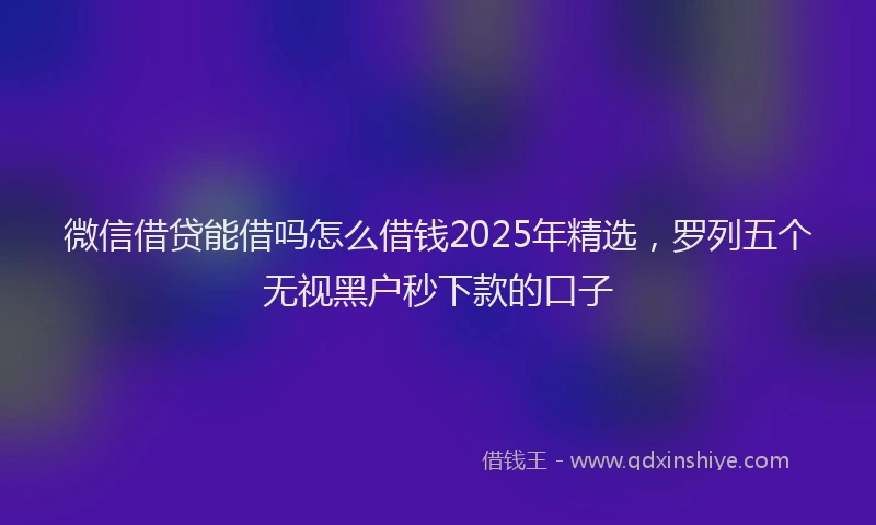 微信借贷能借吗怎么借钱2025年精选，罗列五个无视黑户秒下款的口子