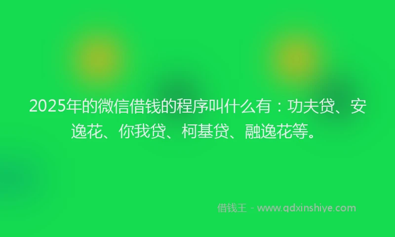 2025年的微信借钱的程序叫什么有：功夫贷、安逸花、你我贷、柯基贷、融逸花等。