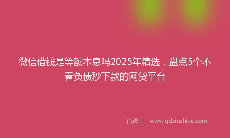 微信借钱是等额本息吗2025年精选，盘点5个不看负债秒下款的网贷平台