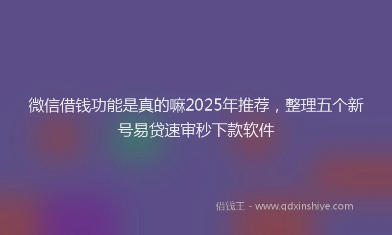微信借钱功能是真的嘛2025年推荐，整理五个新号易贷速审秒下款软件