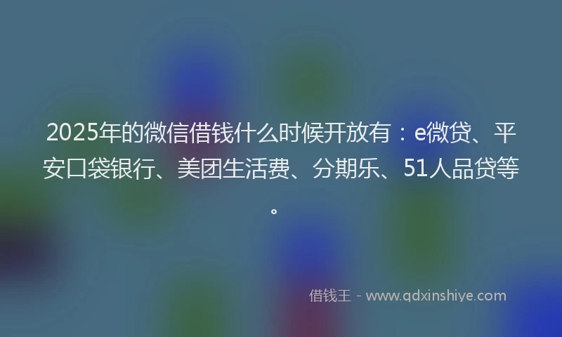2025年的微信借钱什么时候开放有：e微贷、平安口袋银行、美团生活费、分期乐、51人品贷等。