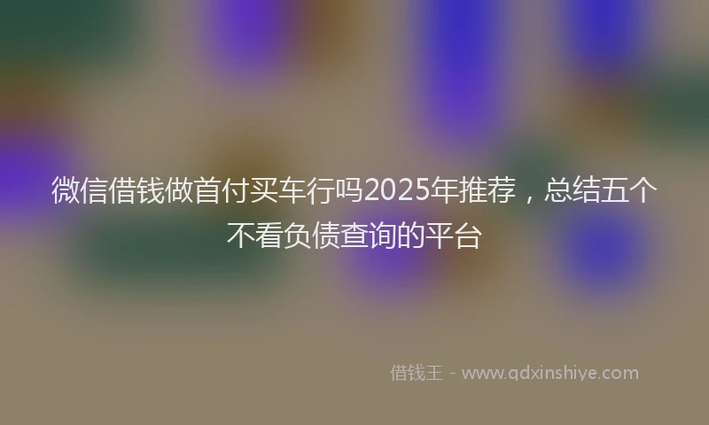 微信借钱做首付买车行吗2025年推荐，总结五个不看负债查询的平台