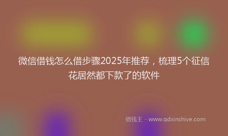 微信借钱怎么借步骤2025年推荐，梳理5个征信花居然都下款了的软件
