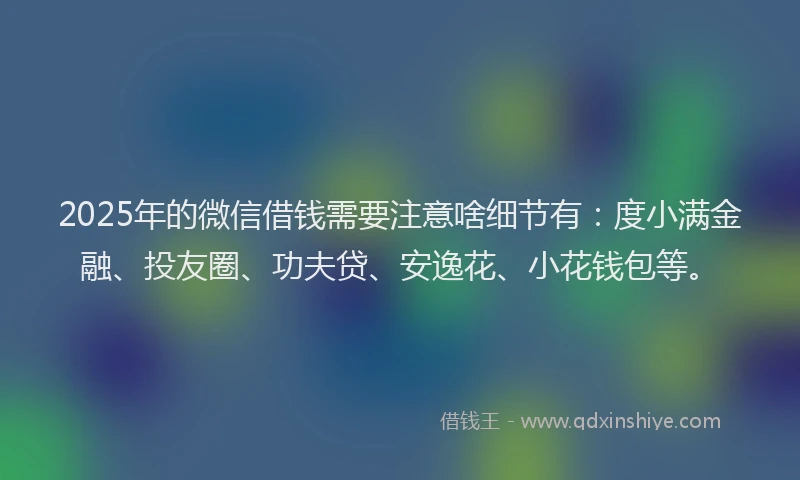 2025年的微信借钱需要注意啥细节有：度小满金融、投友圈、功夫贷、安逸花、小花钱包等。