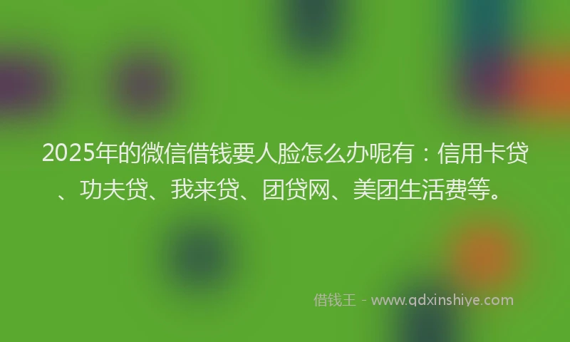 2025年的微信借钱要人脸怎么办呢有：信用卡贷、功夫贷、我来贷、团贷网、美团生活费等。