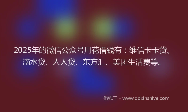 2025年的微信公众号用花借钱有：维信卡卡贷、滴水贷、人人贷、东方汇、美团生活费等。