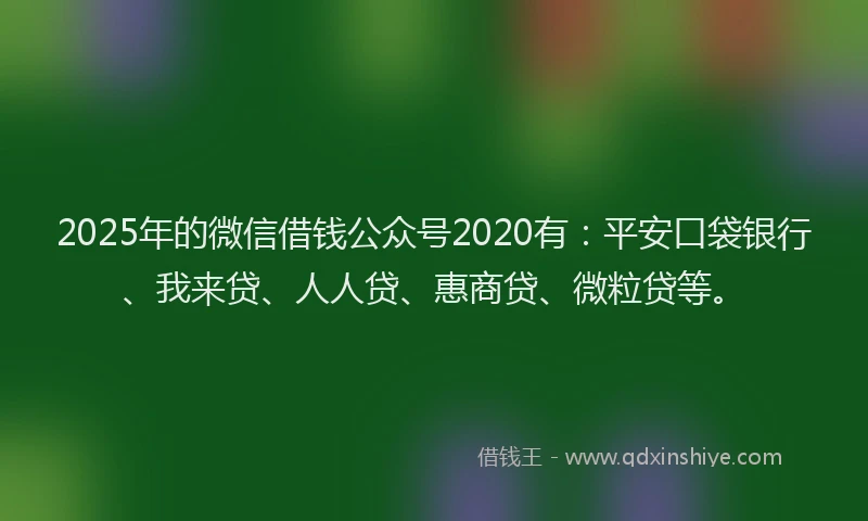 2025年的微信借钱公众号2020有：平安口袋银行、我来贷、人人贷、惠商贷、微粒贷等。