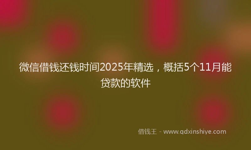 微信借钱还钱时间2025年精选，概括5个11月能贷款的软件