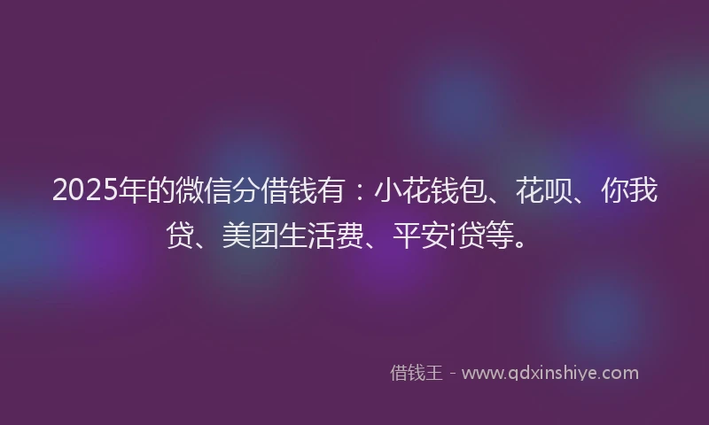 2025年的微信分借钱有：小花钱包、花呗、你我贷、美团生活费、平安i贷等。