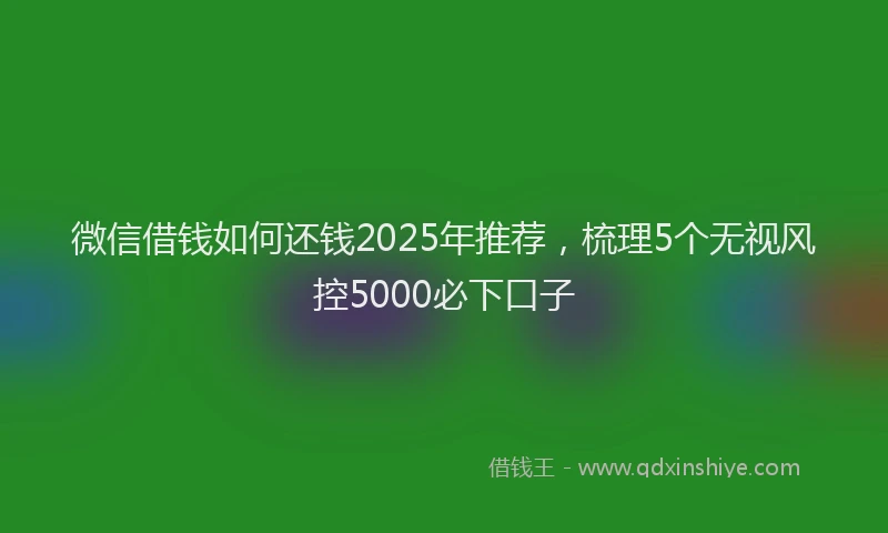 微信借钱如何还钱2025年推荐，梳理5个无视风控5000必下口子