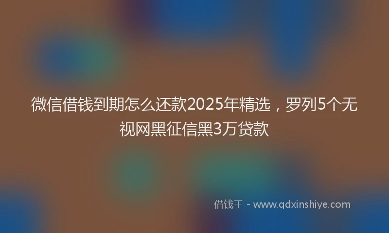 微信借钱到期怎么还款2025年精选，罗列5个无视网黑征信黑3万贷款