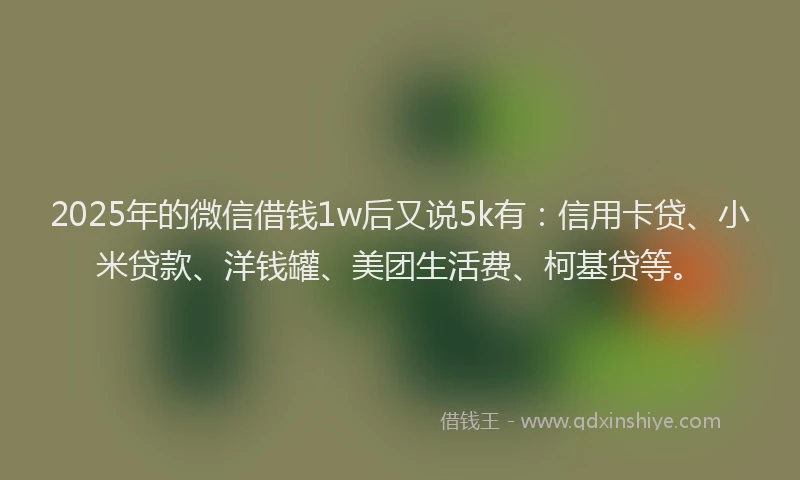 2025年的微信借钱1w后又说5k有：信用卡贷、小米贷款、洋钱罐、美团生活费、柯基贷等。